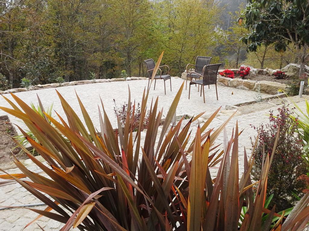 Villa Lugar Do Pego Tondela Extérieur photo