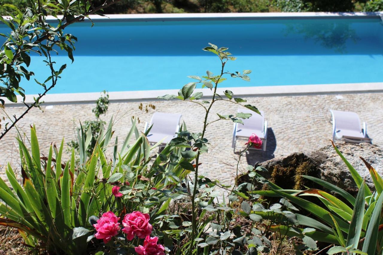 Villa Lugar Do Pego Tondela Extérieur photo